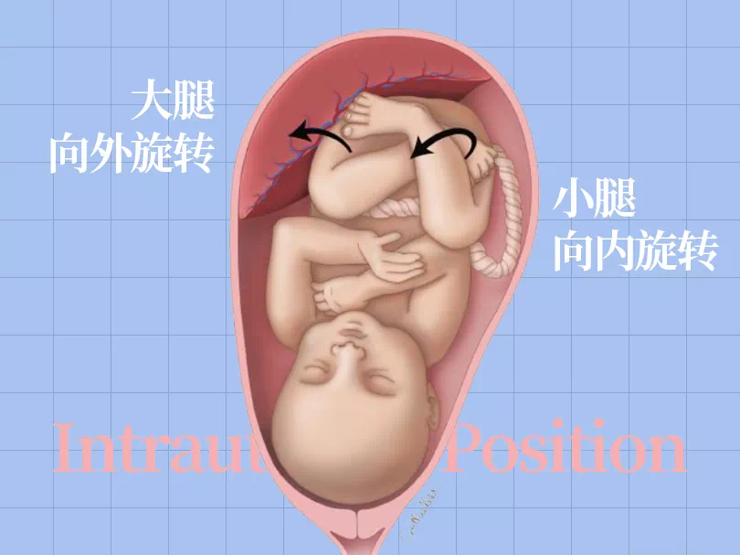 SPI足底壓力分布計(jì)量